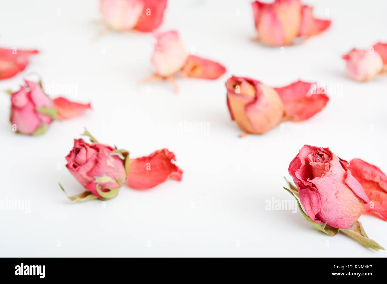 Dried flower still life with rose flowers Stock Photo - Alamy