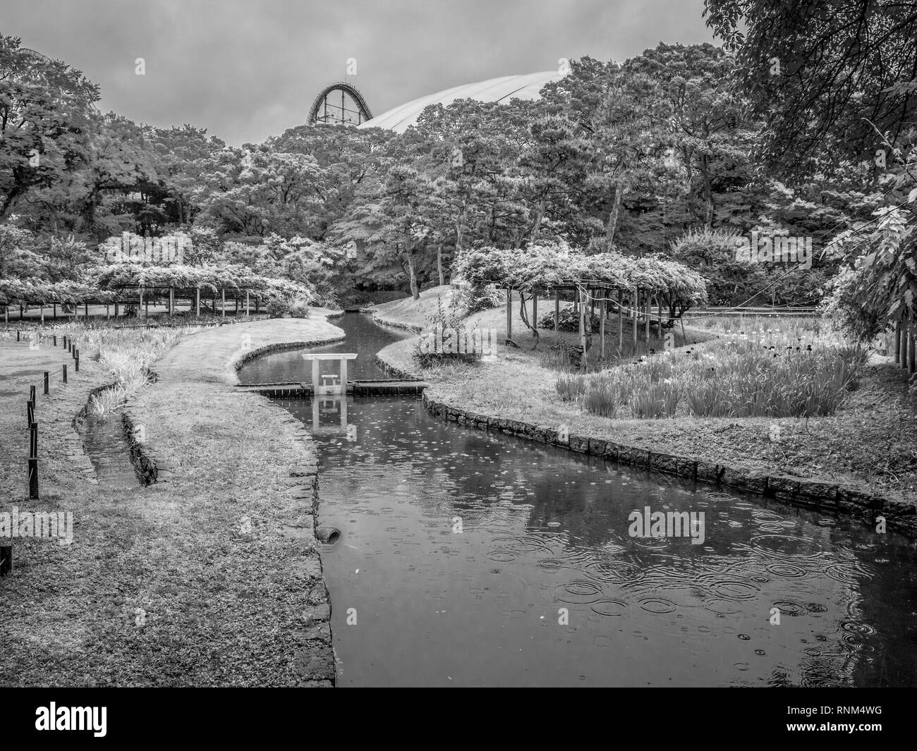 Japanese Garden in Korakuen Tokyo Stock Photo Alamy
