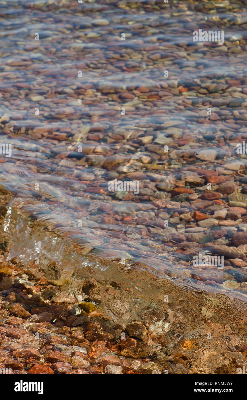 Colorful pebbles in the crystal clear water in red sea Stock Photo - Alamy