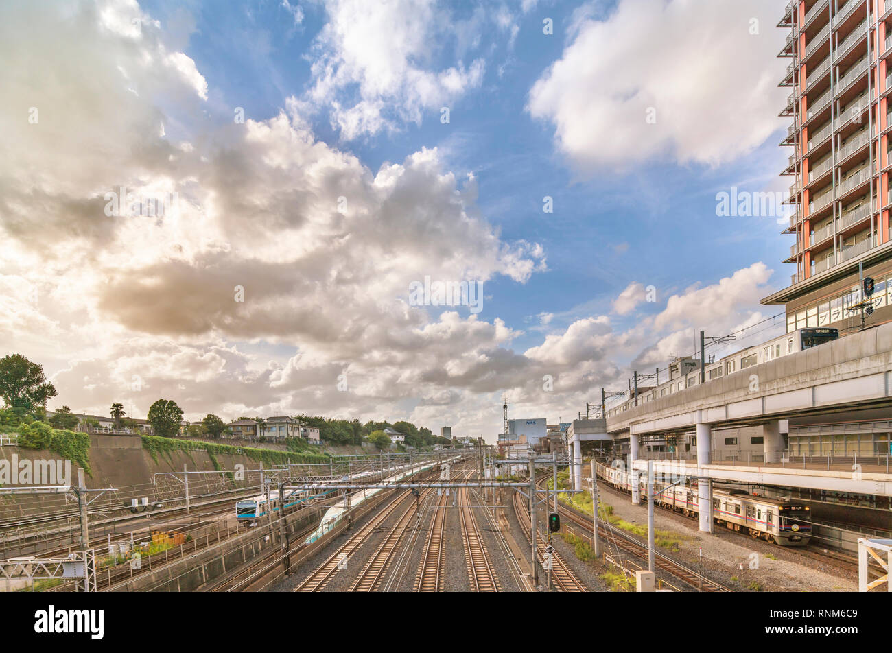 View from the Shimogoindenbashi Bridge called the Train Museum which allows to observe the 2500 trains that pass each day below in the Arakawa distric Stock Photo
