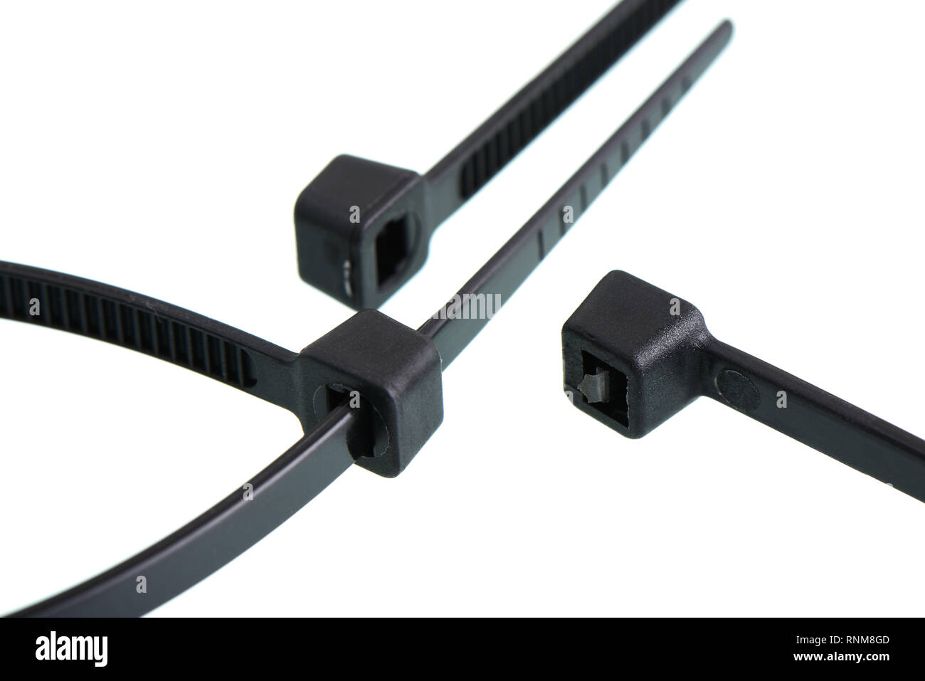 Close-up of cable tie head, isolated on white background Stock Photo