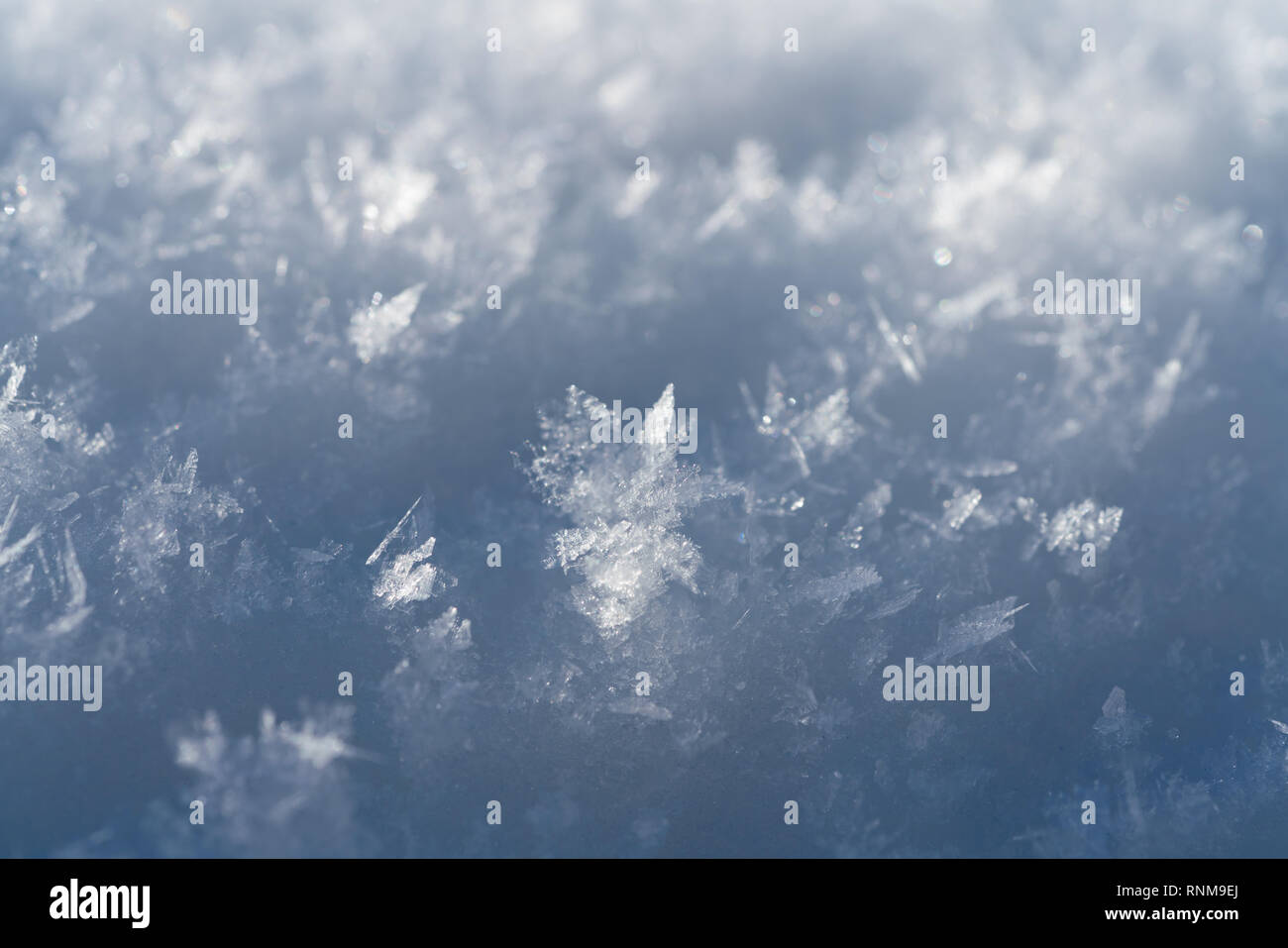 Snowflakes Close Up Abstract on a sunny day Stock Photo