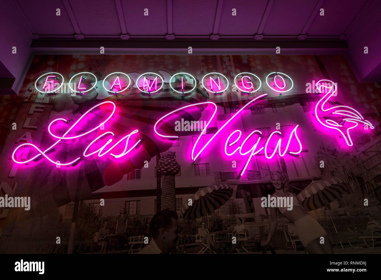 Logo of neon tubes in the entrance area, Casino and Hotel Flamingo Las