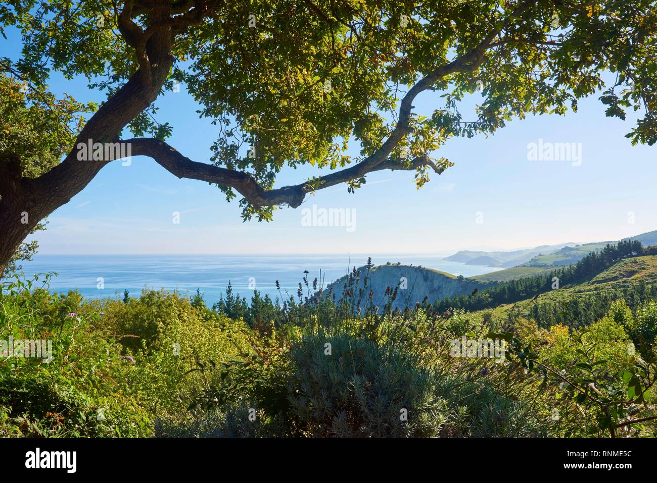 View to the geopark Costa Vasca at the the atlantic ocean between trees next to the Camino del Norte on the way to Deba, coastal path, Way of St. Jame Stock Photo