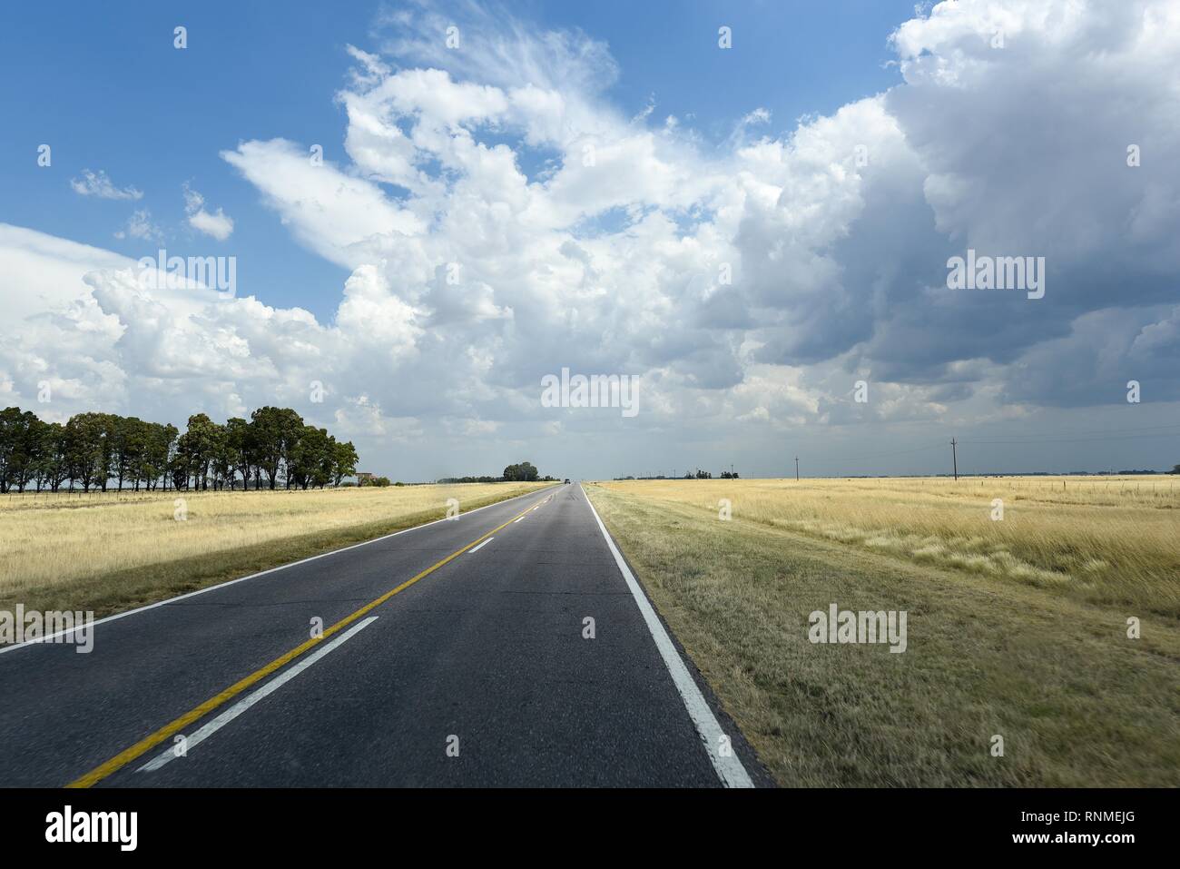Long straight road through the Pampa to the horizon, Bahia Blanca, Patagonia, Argentina Stock Photo