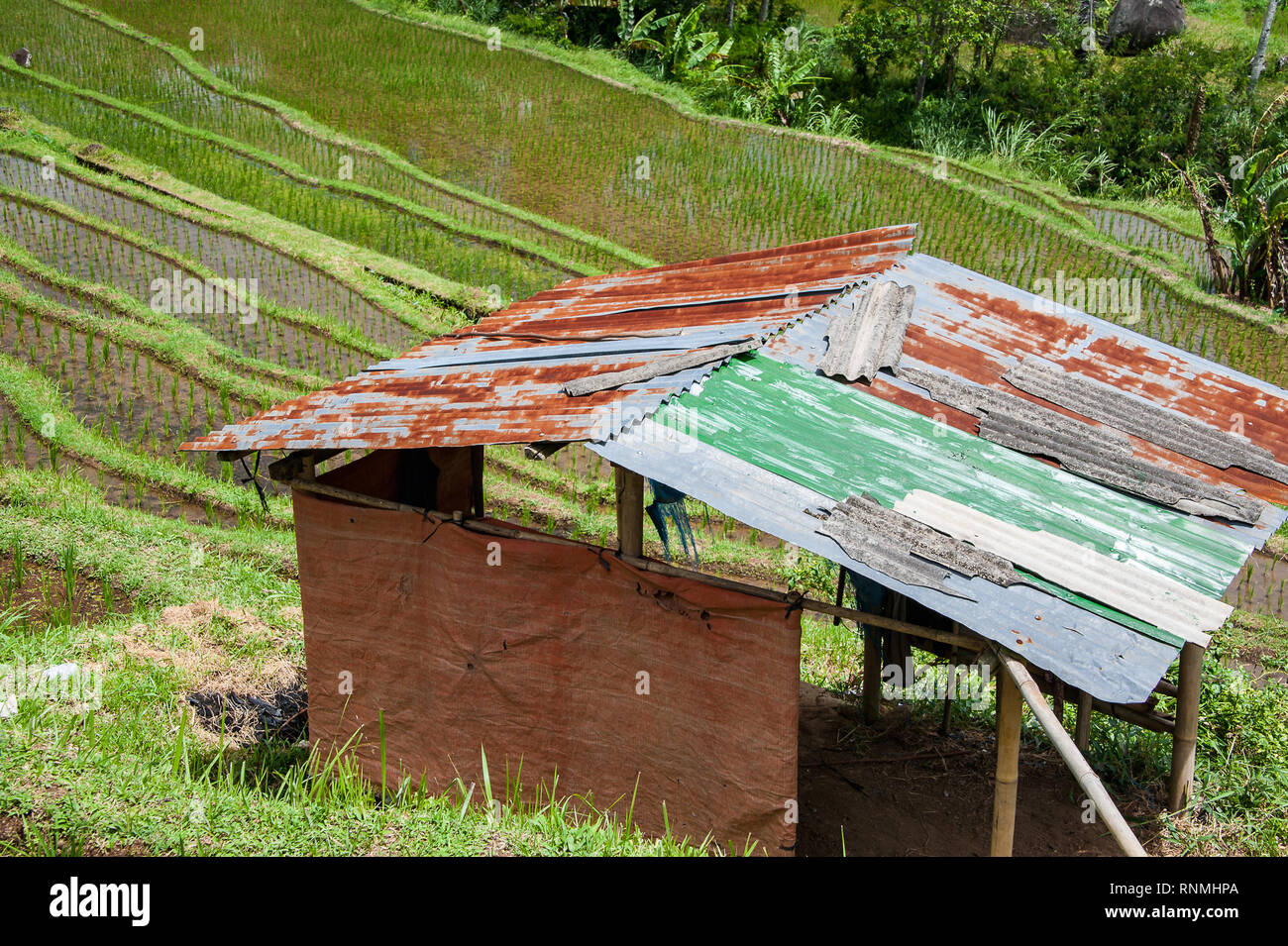 Rusty Tin Roof Stock Photos Rusty Tin Roof Stock Images Alamy