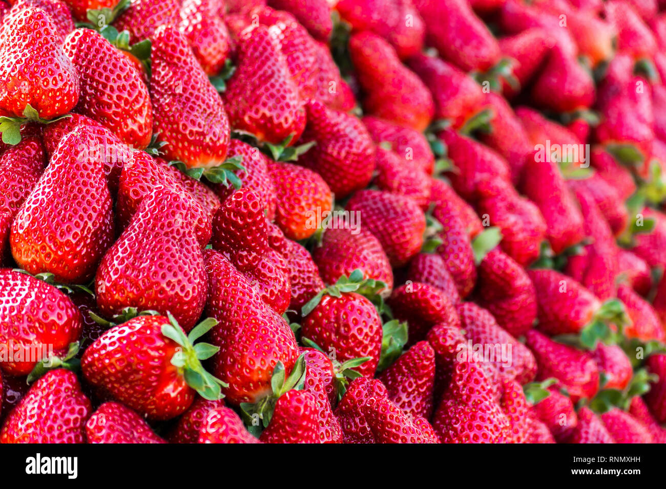 Los of strawberries hi-res stock photography and images - Alamy