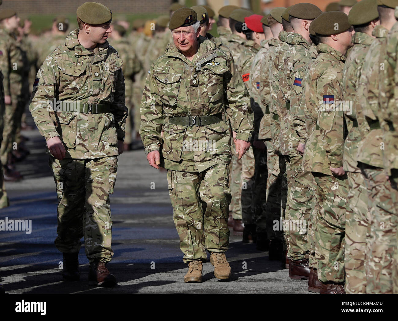 The Prince of Wales (centre), Colonel Welsh Guards, presents campaign ...