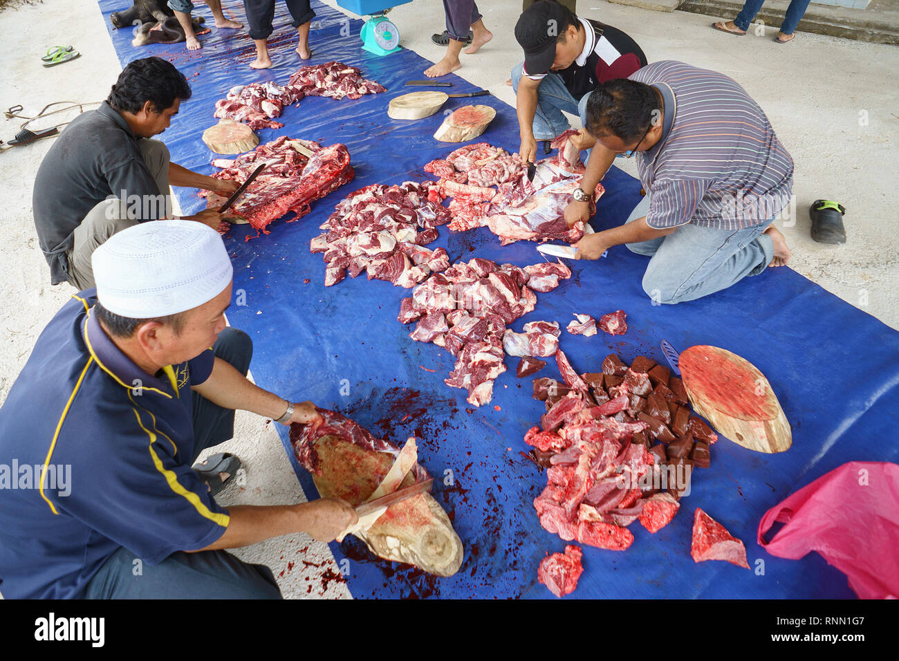 Kiulu Sabah Malaysia - Sep 24, 2015: Muslim man preparing on buffalo meet  to be distibuted to muslims in needs during Eid Al-Adha Al Mubarak, the Fea Stock Photo