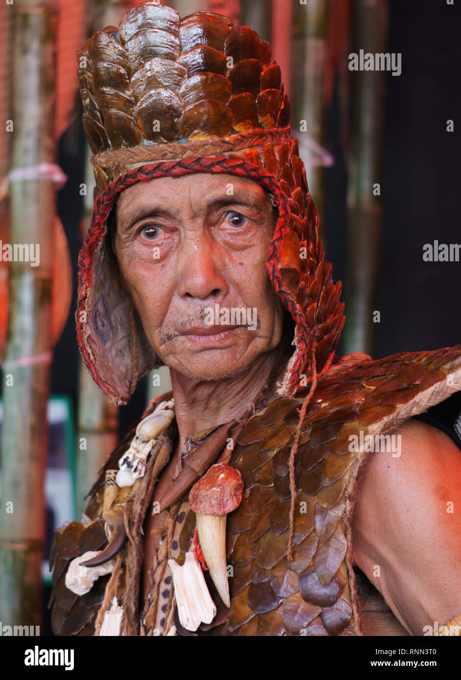 Penampang, Sabah Malaysia - May 31, 2016 : Man with traditional costume made from pangolin skin inherited from his great great grand during Pesta Kaam Stock Photo