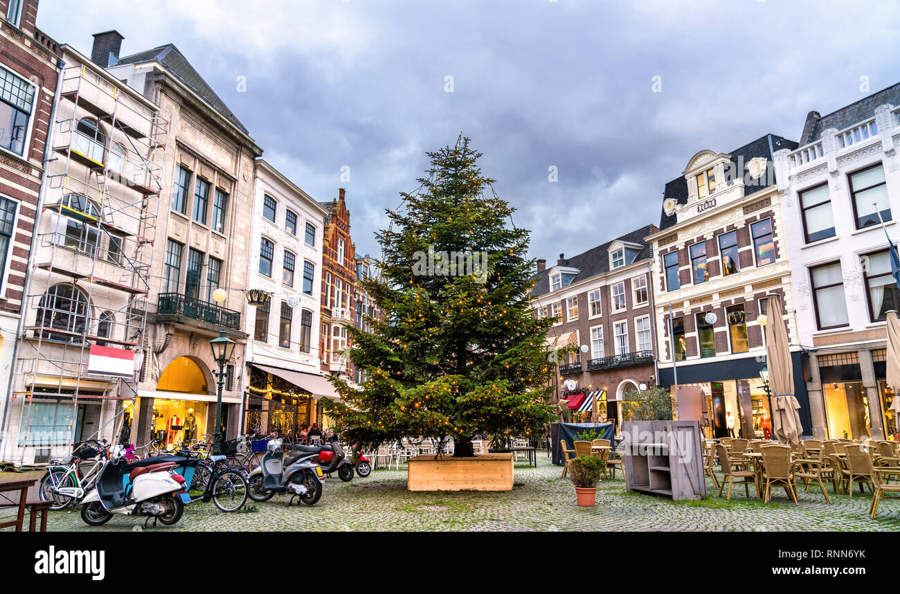 Christmas Tree at the Plaats square in the Hague, the Netherlands Stock Photo