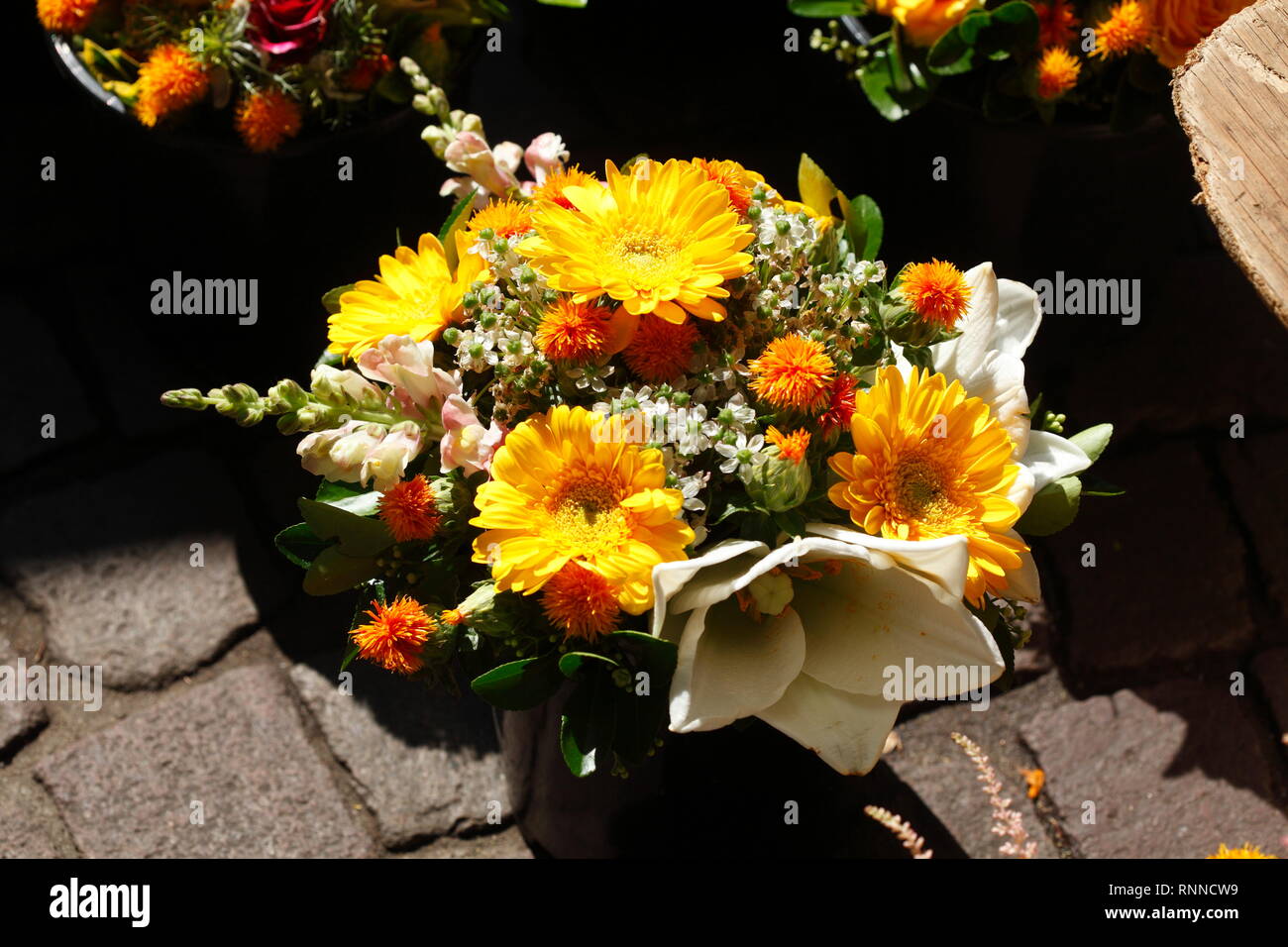 Yellow flowers with on a flower market Germany, Europe Stock Photo Alamy