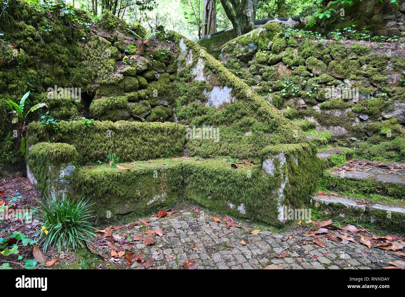 Sintra, Portugal - Gardens of Pena Park (Jardins do Parque da Pena). Mossy  stone bench Stock Photo - Alamy