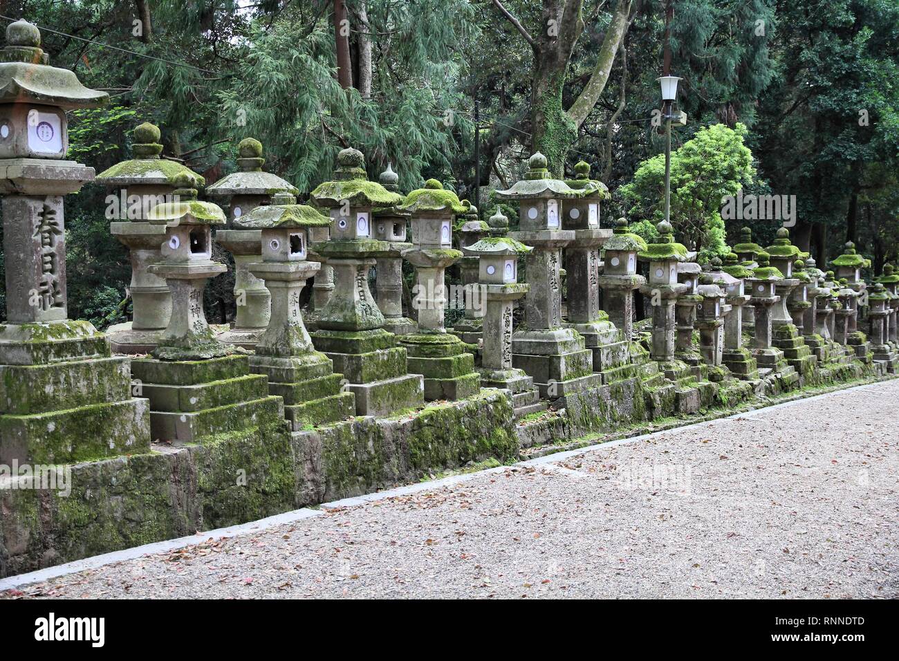 Nara, Japan (Kansai region) - old city on UNESCO World Heritage Site. Old mossy stone lanterns on the way leading to Kasuga Shrine. Stock Photo