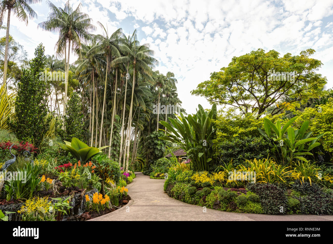 National Orchid Gardens In Singapore Pelago | lupon.gov.ph