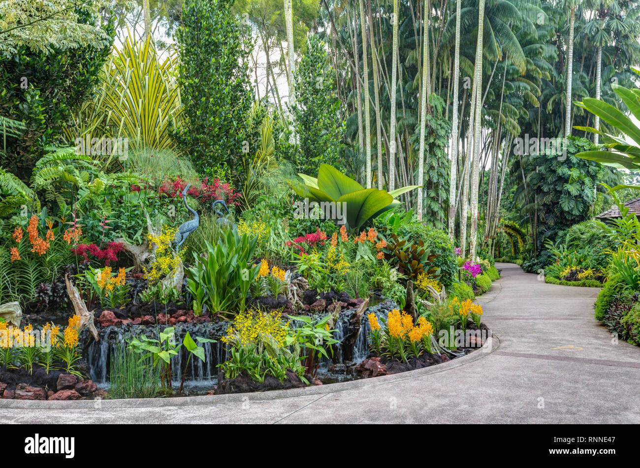 Singapore Botanic Garden, Pathway in National Orchid Garden. Stock Photo