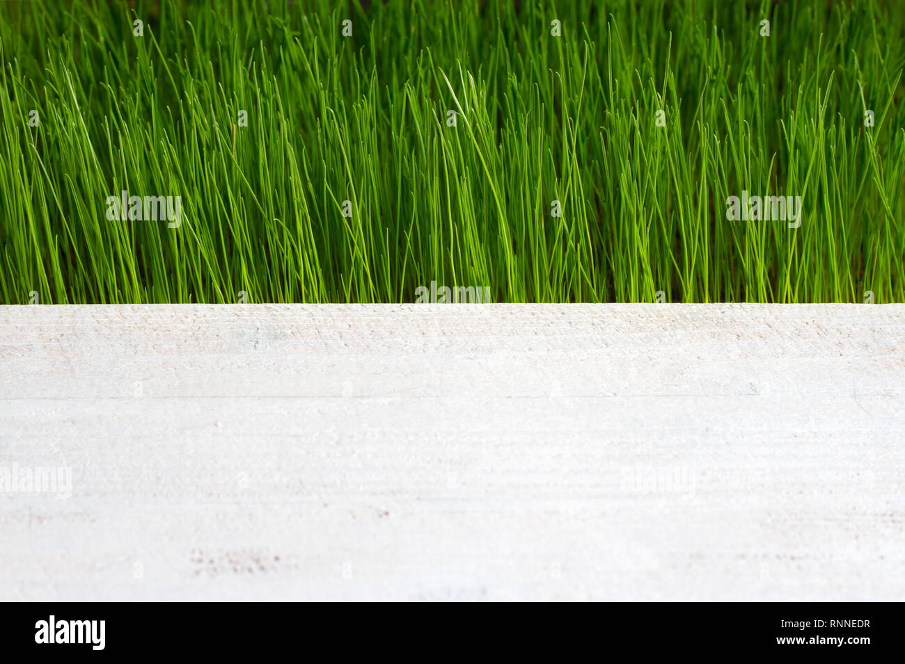 Green grass and wooden plank abstract spring background Stock Photo - Alamy