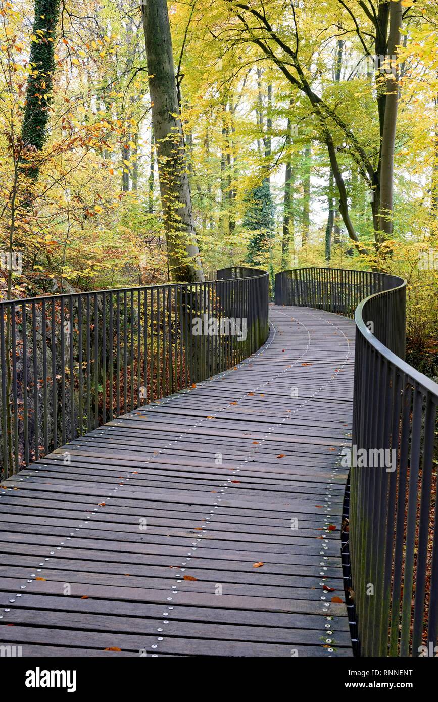 Curved pedestrian bridge in the Felsenmeer nature reserve, deciduous forest in autumn, Common beeches (Fagus sylvatica) Stock Photo