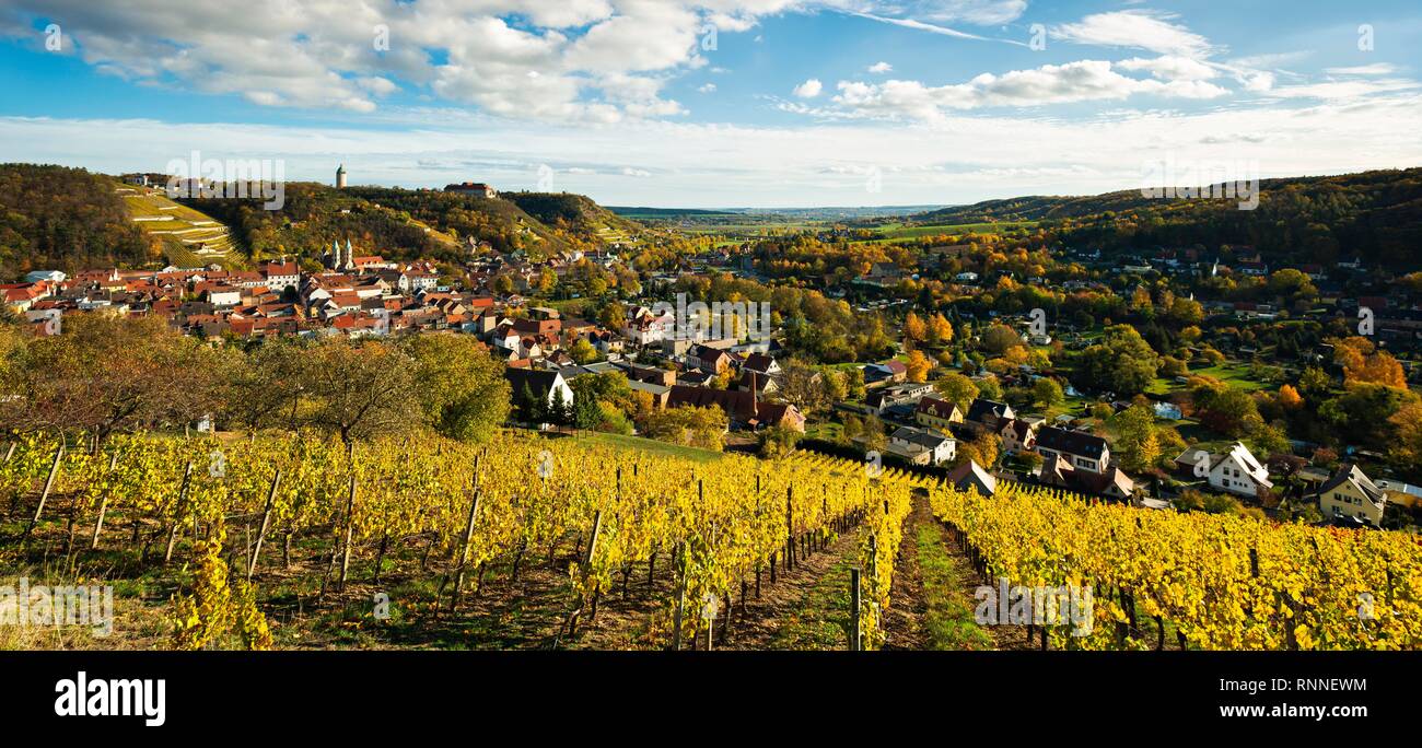 View over vineyard to Freyburg, autumn, Freyburg an der Unstrut, Saxony-Anhalt, Germany Stock Photo