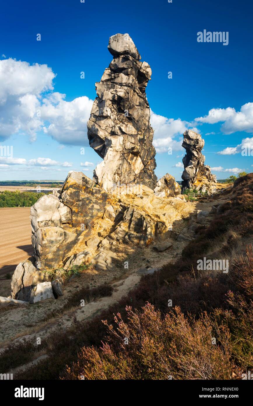 Rock formation, Teufelsmauer nature reserve, near Weddersleben, Harz, Saxony-Anhalt, Germany Stock Photo