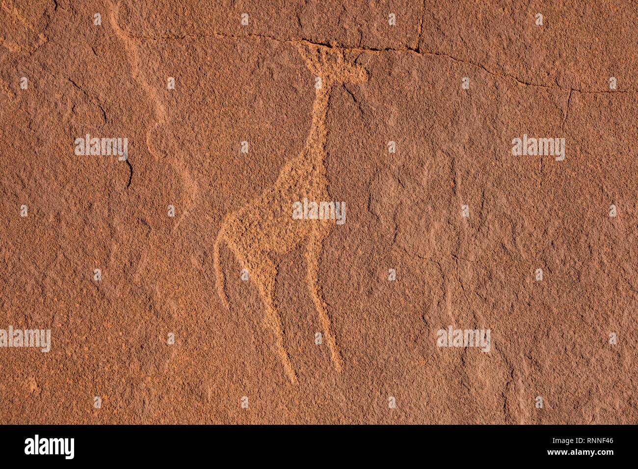 Ancient rock engravings, Twyfelfontein, Namibia Stock Photo