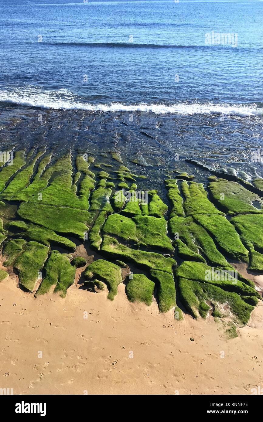 Green mossed rocks and sand at the city beach, Estoril, Portugal Stock Photo