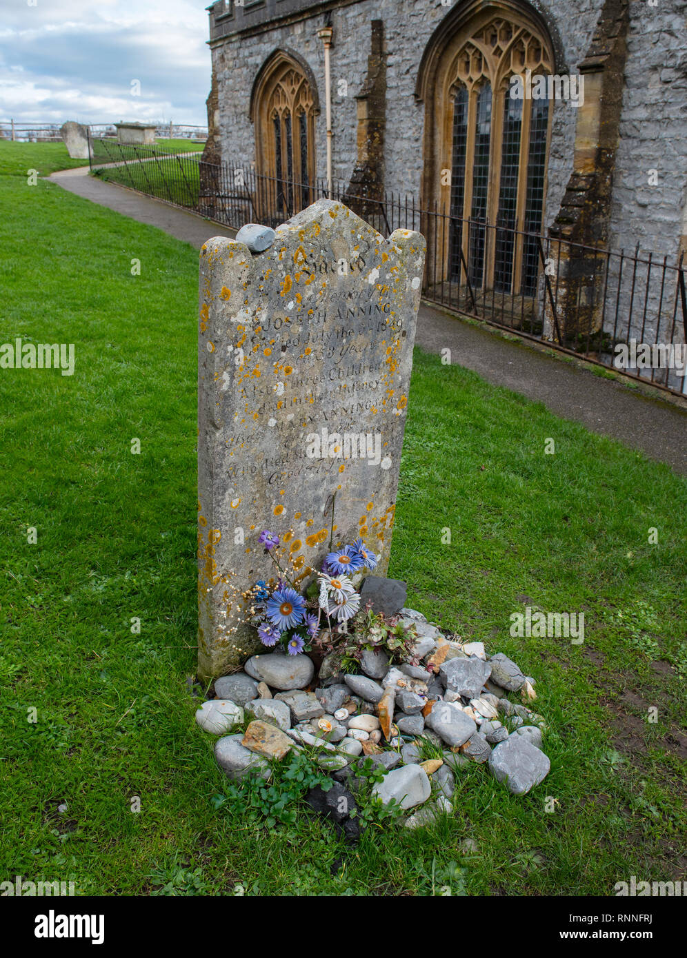 The original gravestone of Mary Anning before it was replaced in 2019. Visitors like to place fossils on the grave instead of flowers in her memory. Stock Photo