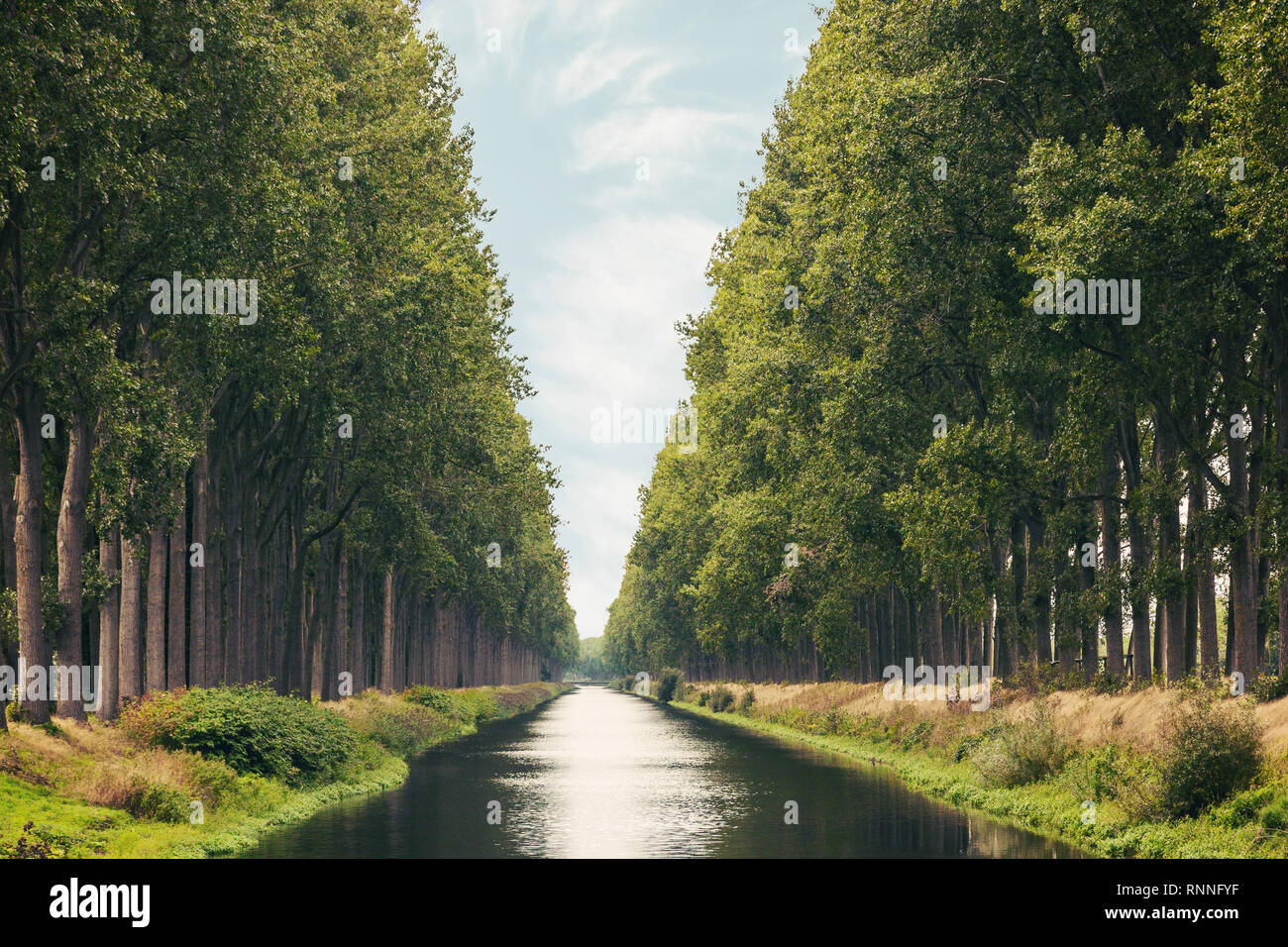 The Damme Canal surrounded by trees in summer in the Belgian province of West Flanders near the city of Brugge Stock Photo
