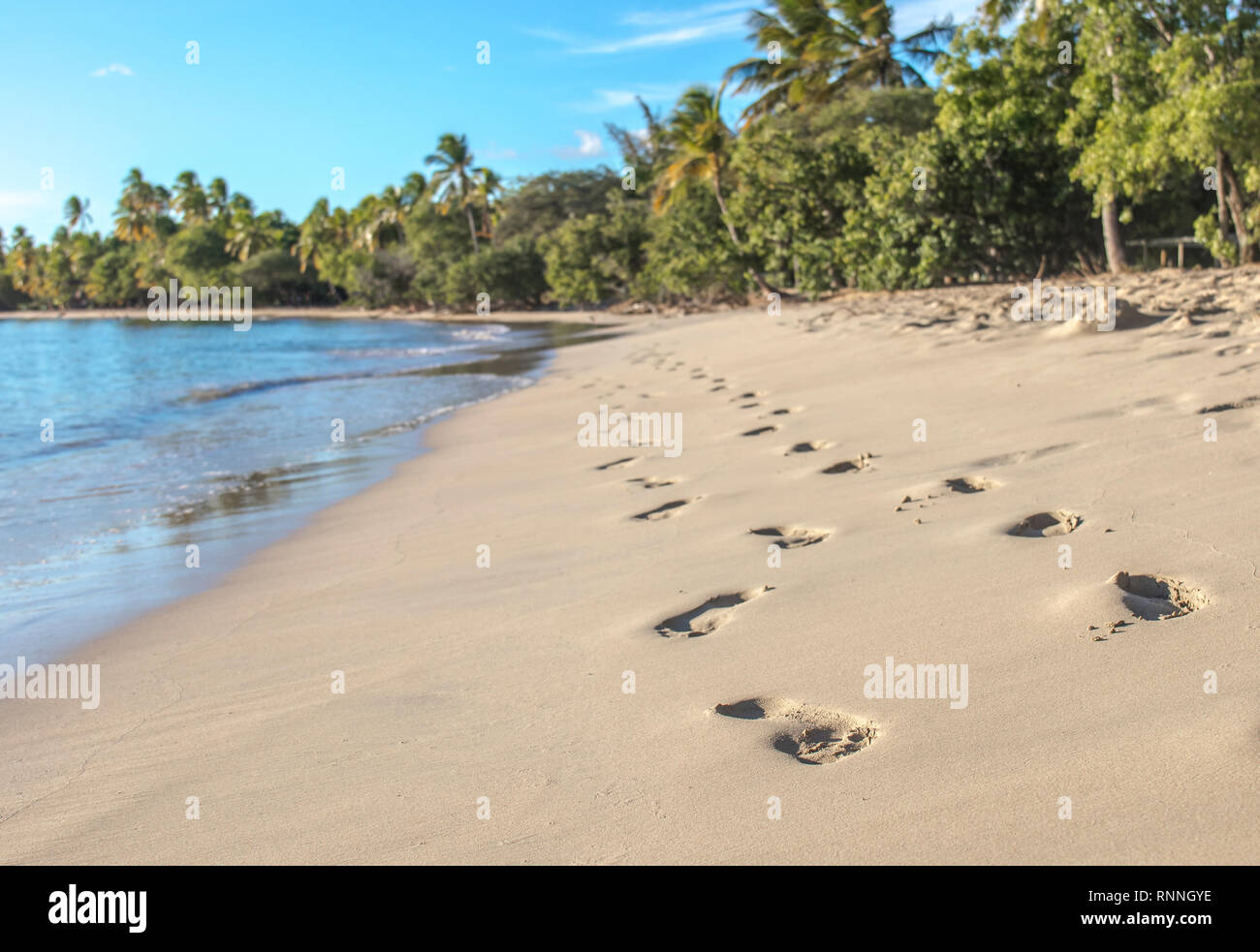 Footsteps in the Sand at Grande Anses des Salines Beach on Martinique Stock Photo