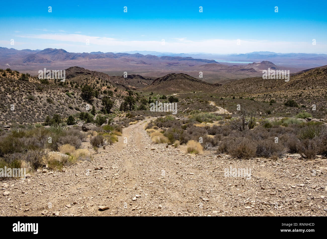 USA, Nevada, Clark County, Gold Butte National Monument. Whitney Pass