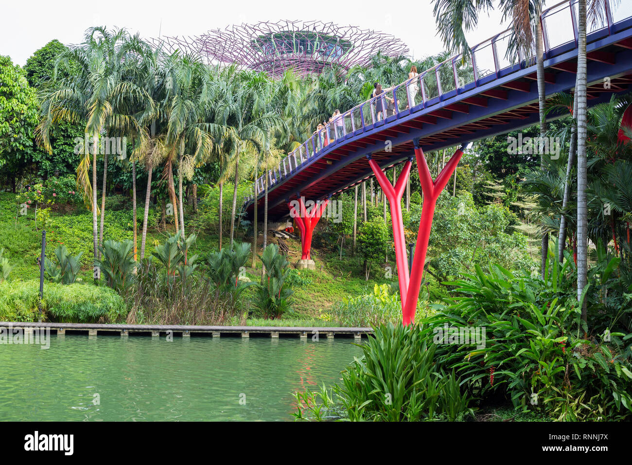 Pedestrian Bridge Leading to Supertrees in Gardens by the Bay, Singapore. Stock Photo