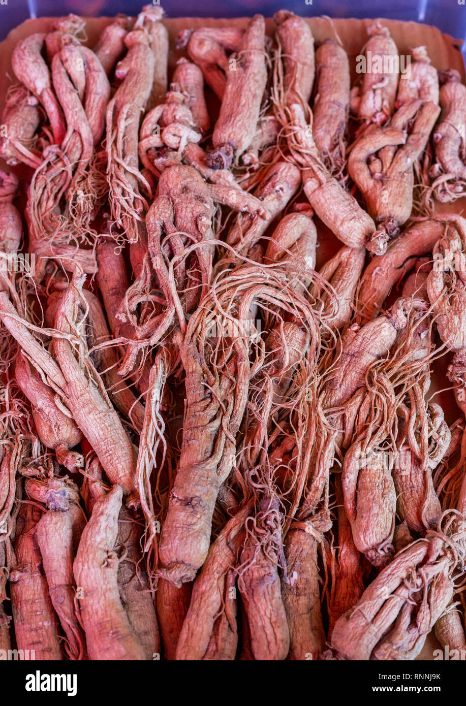 Ginseng Root for Sale in a Chinese Food Store, Chinatown, Singapore. Stock Photo