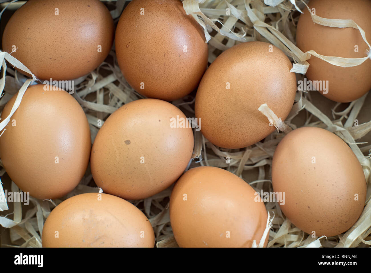 Fresh organic eggs on straw Stock Photo
