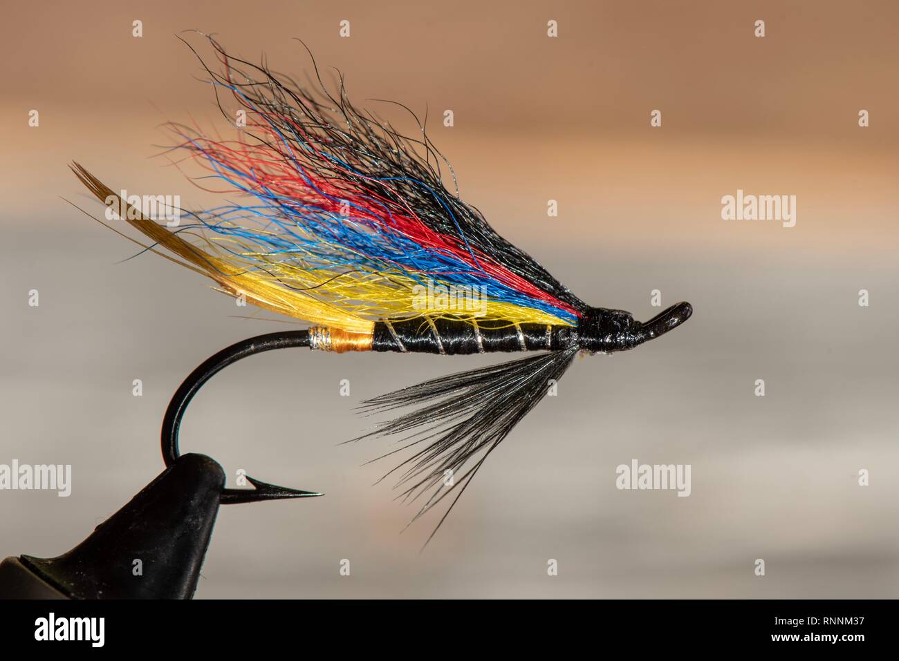 Classic and colorful Atlantic salmon fly fishing wet flies Stock Photo -  Alamy