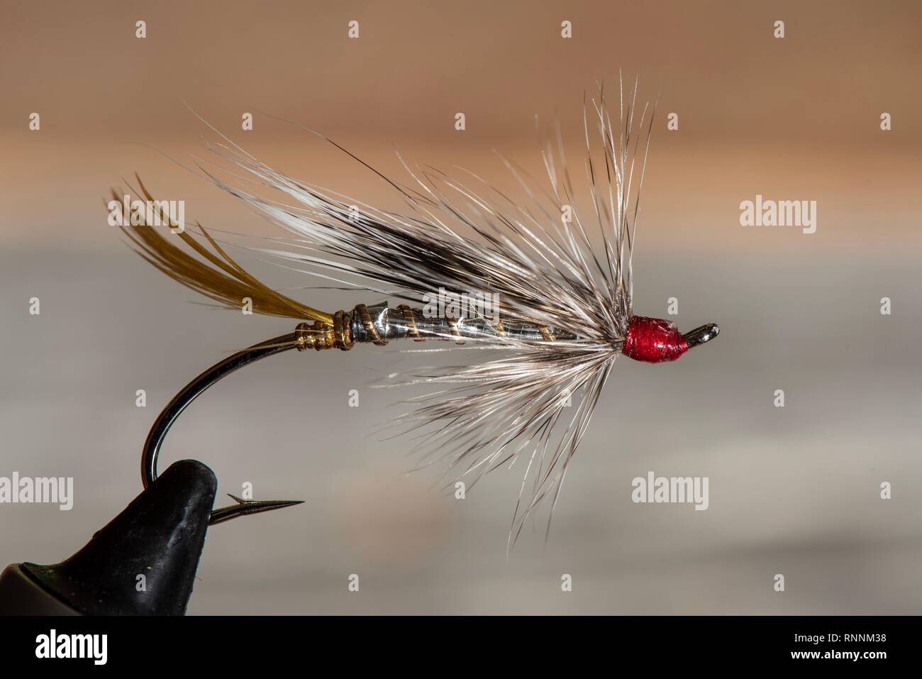 Classic and colorful Atlantic salmon fly fishing wet flies Stock