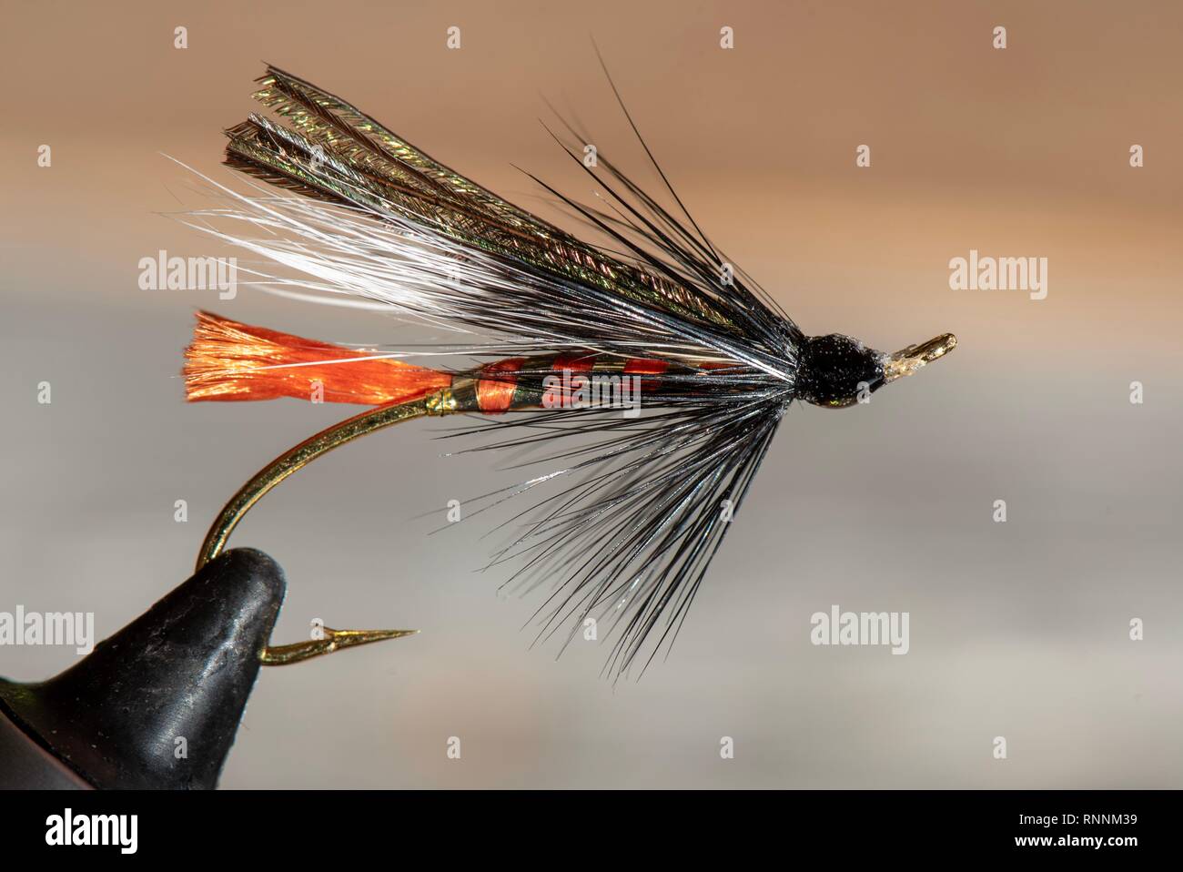 Salmon flies hi-res stock photography and images - Alamy