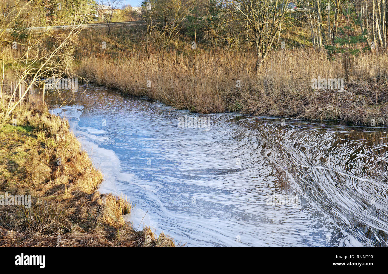 Dirty waste water merges into a clean forest stream and kill the plants. Landscape concept