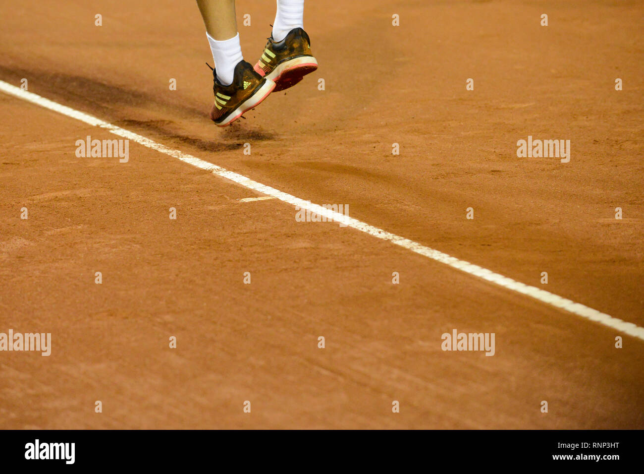 Rio De Janeiro, Brazil. 19th Feb, 2019. xxxxxxxxxxx during Rio Open 2019 (ATP 500) held at the Jockey Club Brasileiro in Rio de Janeiro, RJ. Credit: Celso Pupo/FotoArena/Alamy Live News Stock Photo