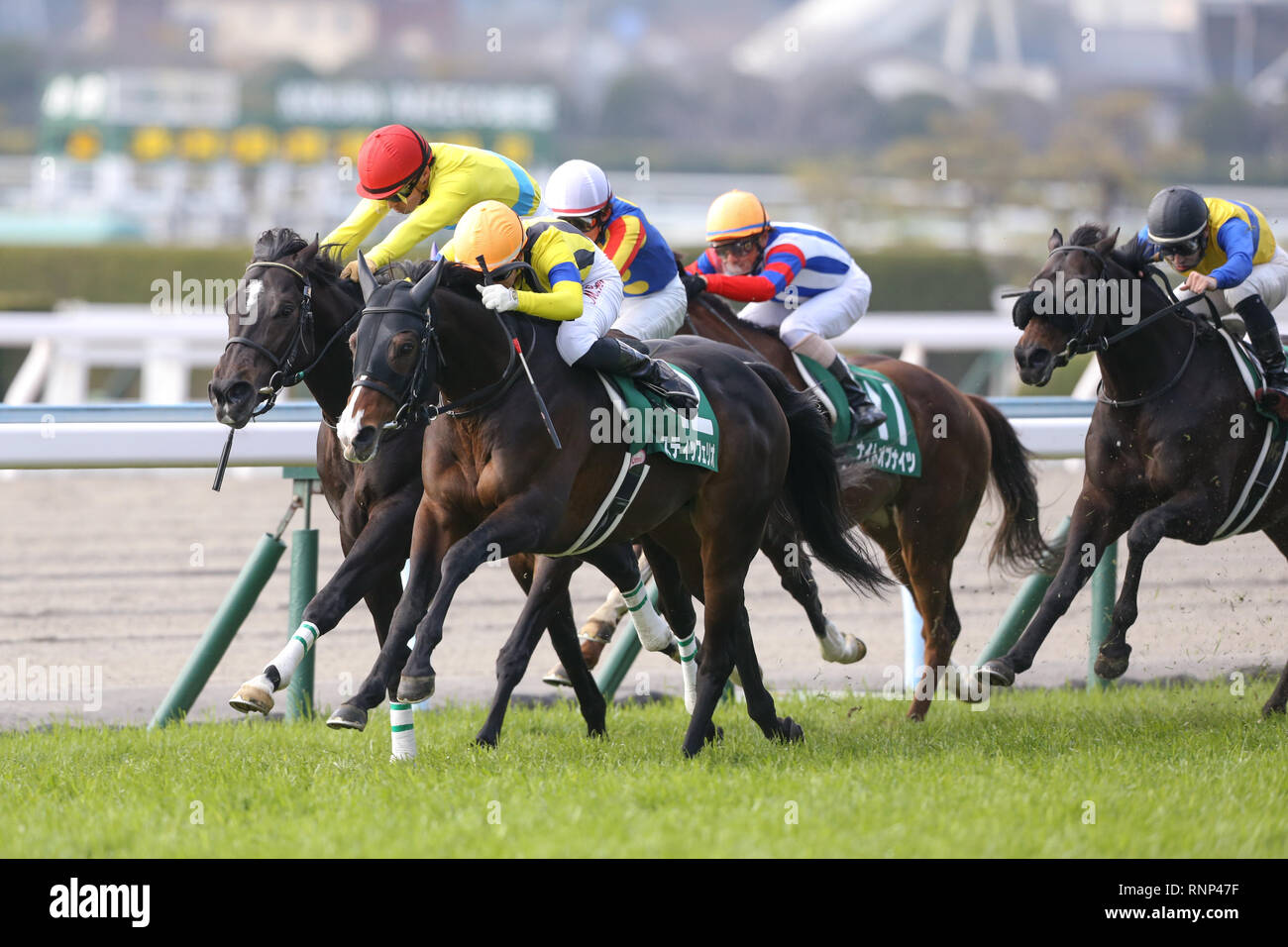 Futoshi High Resolution Stock Photography And Images Alamy