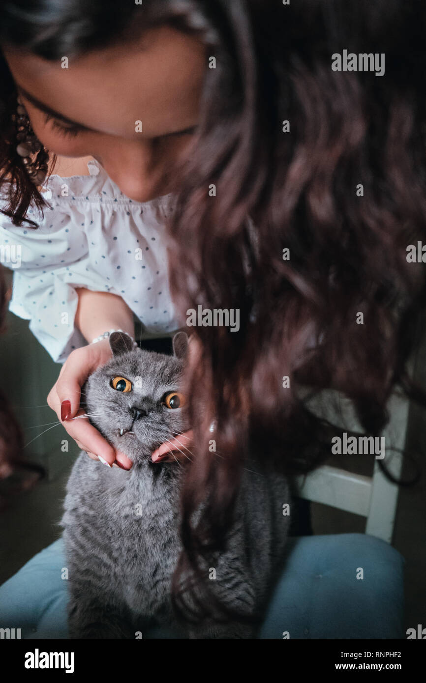 Close-up curly young woman holding the head of a British cat. The cat doesn't seam to like it Stock Photo