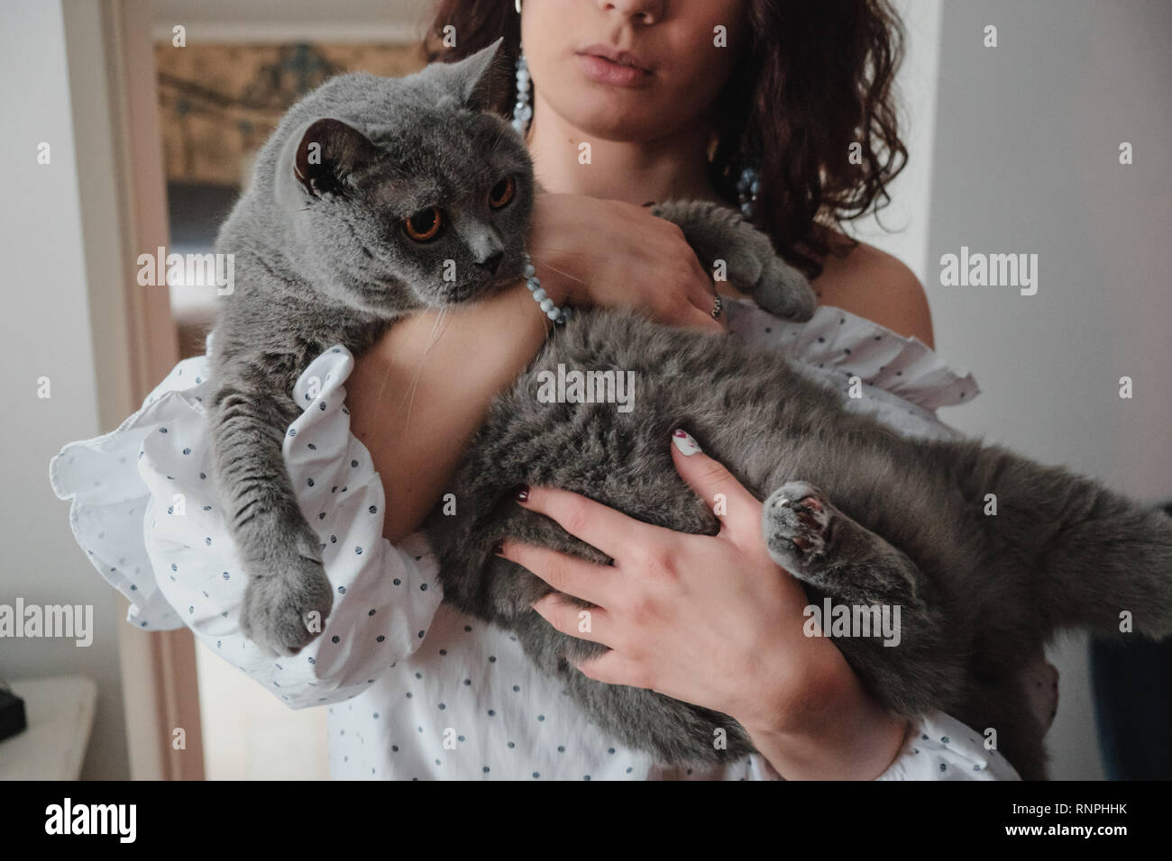 Close-up curly young woman holding a British cat. The cat doesn't seam to like it Stock Photo