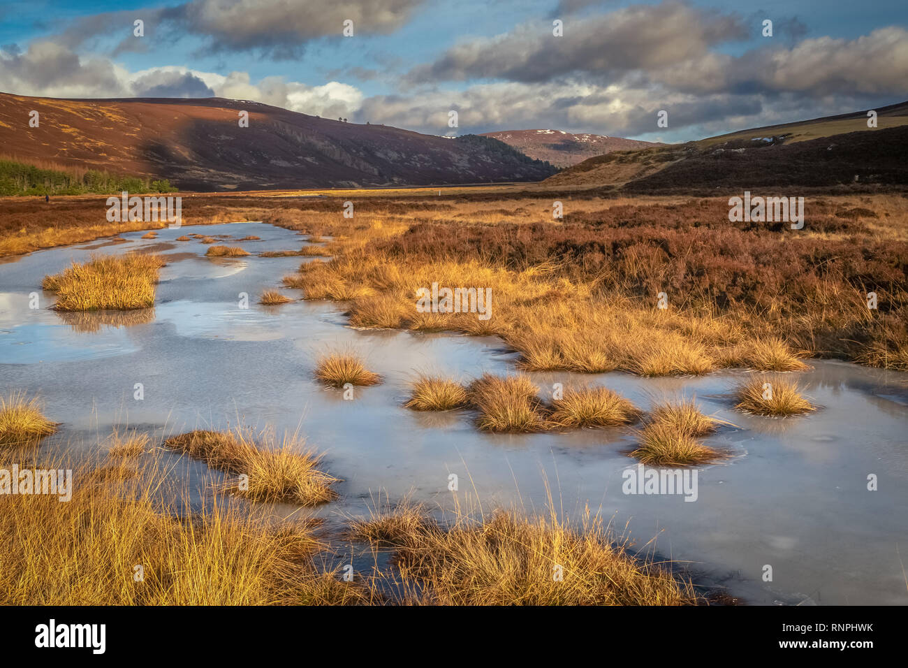 Mar Lodge Estate is a highland estate in western Aberdeenshire