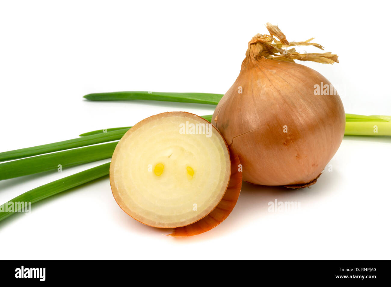 Whole and halved fresh onions hi-res stock photography and images - Alamy