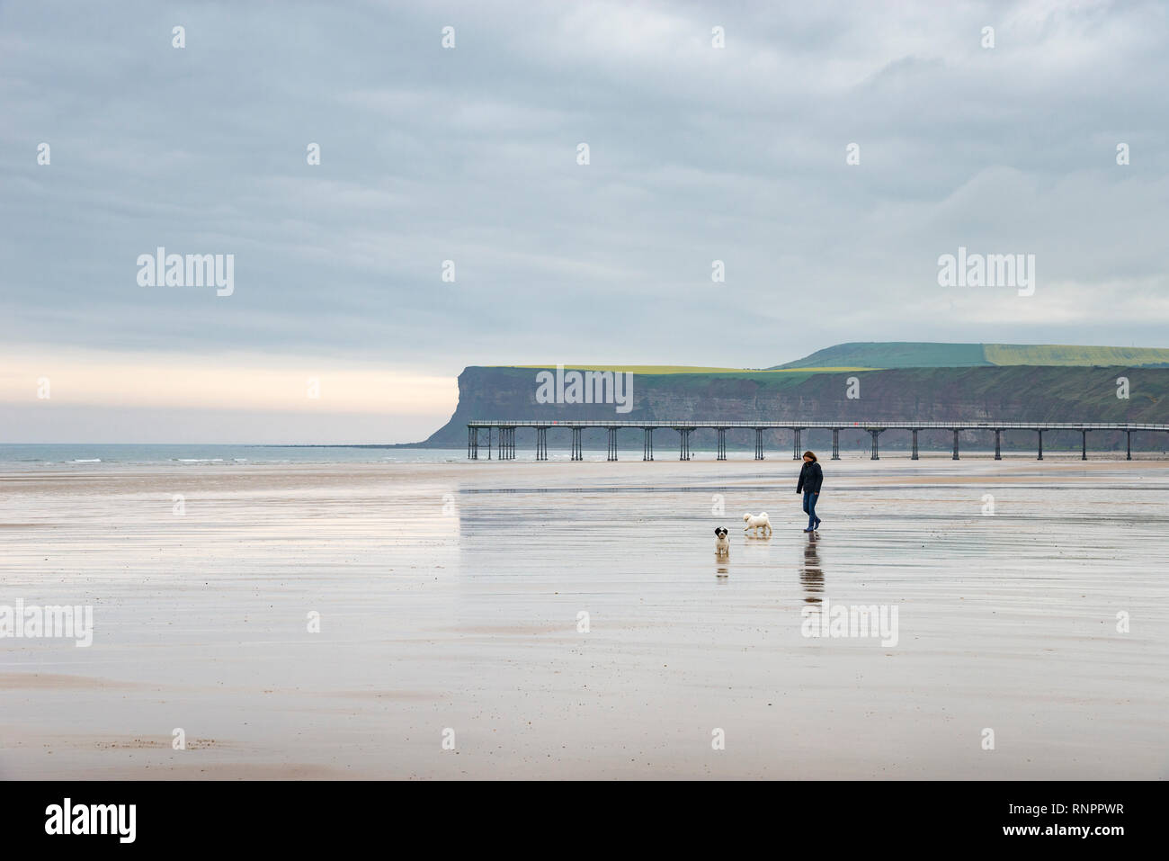 Dog walker on the beach at Saltburnbythesea, North Yorkshire