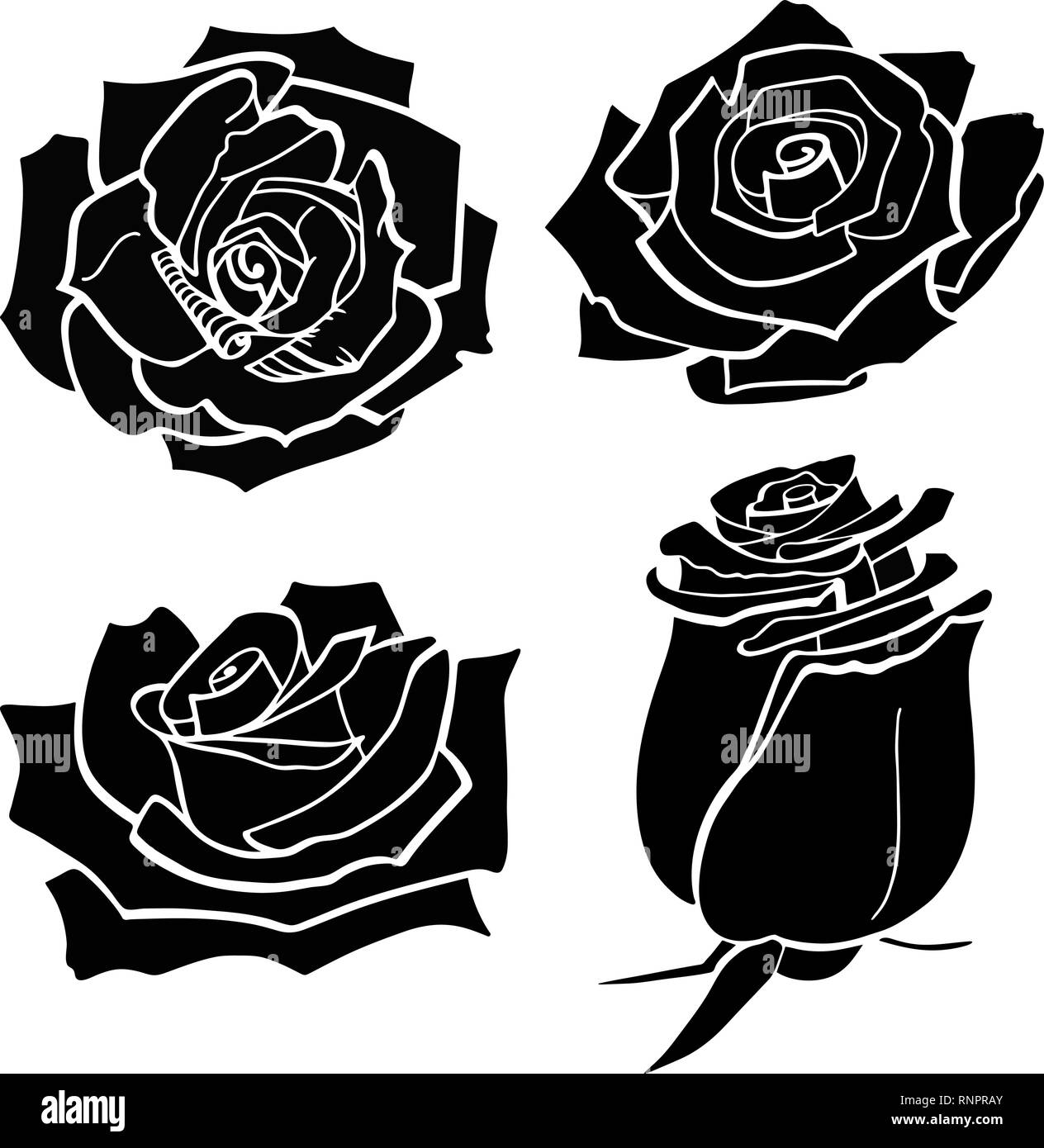 Flowers Rose Outline Drawing Vector Stock Photos Flowers Rose
