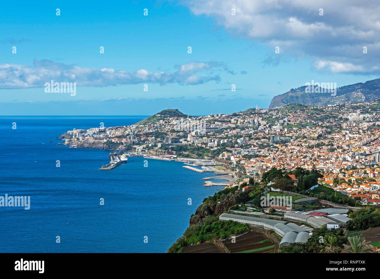 Port, cityscape, Funchal, Madeira, Portugal Stock Photo