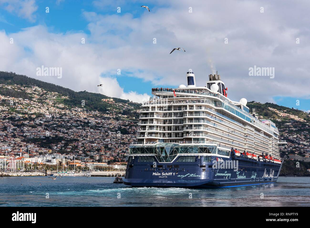 Cruise ship, Port, Funchal, Madeira, Portugal Stock Photo