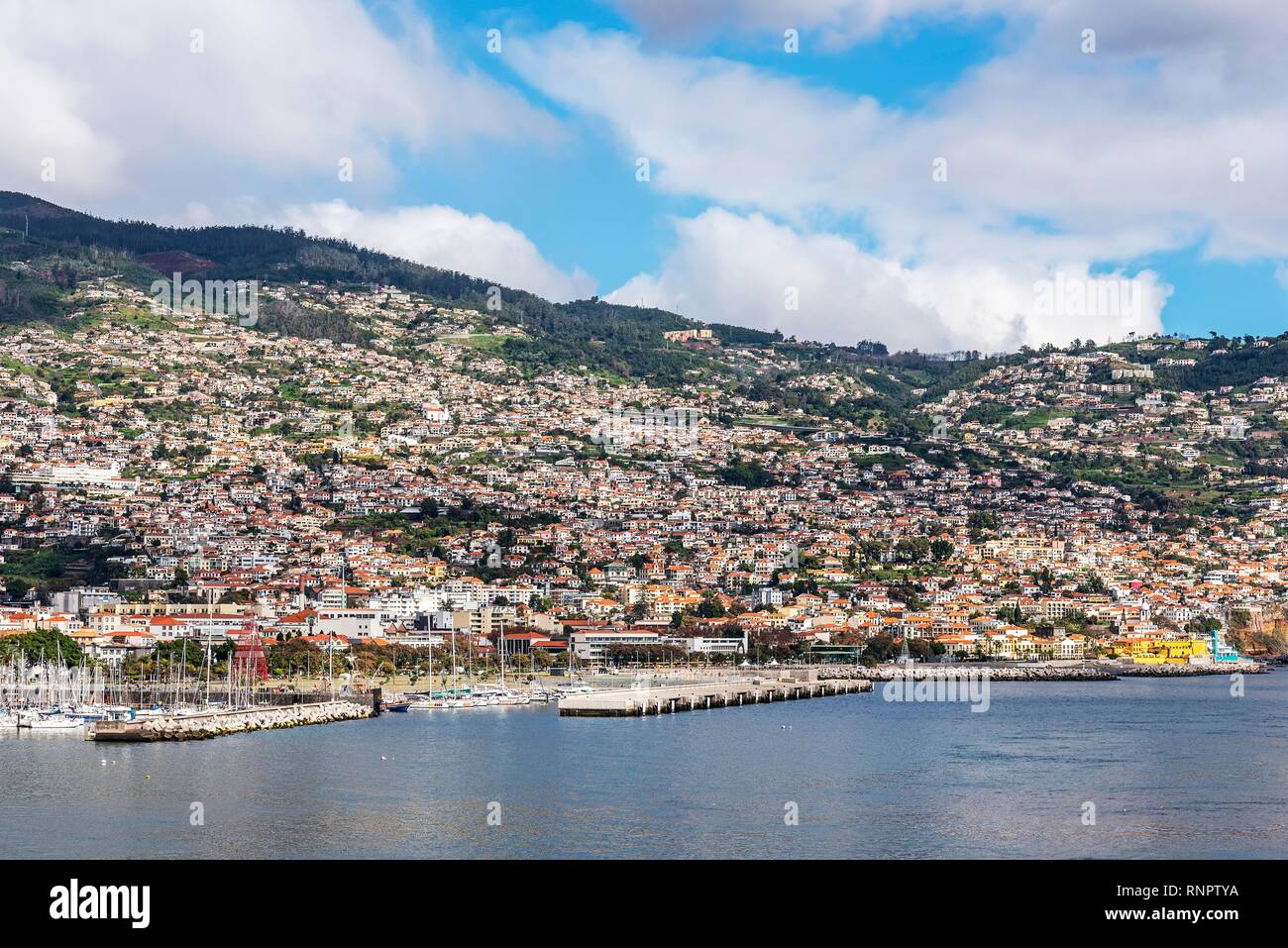 Port, cityscape, Funchal, Madeira, Portugal Stock Photo