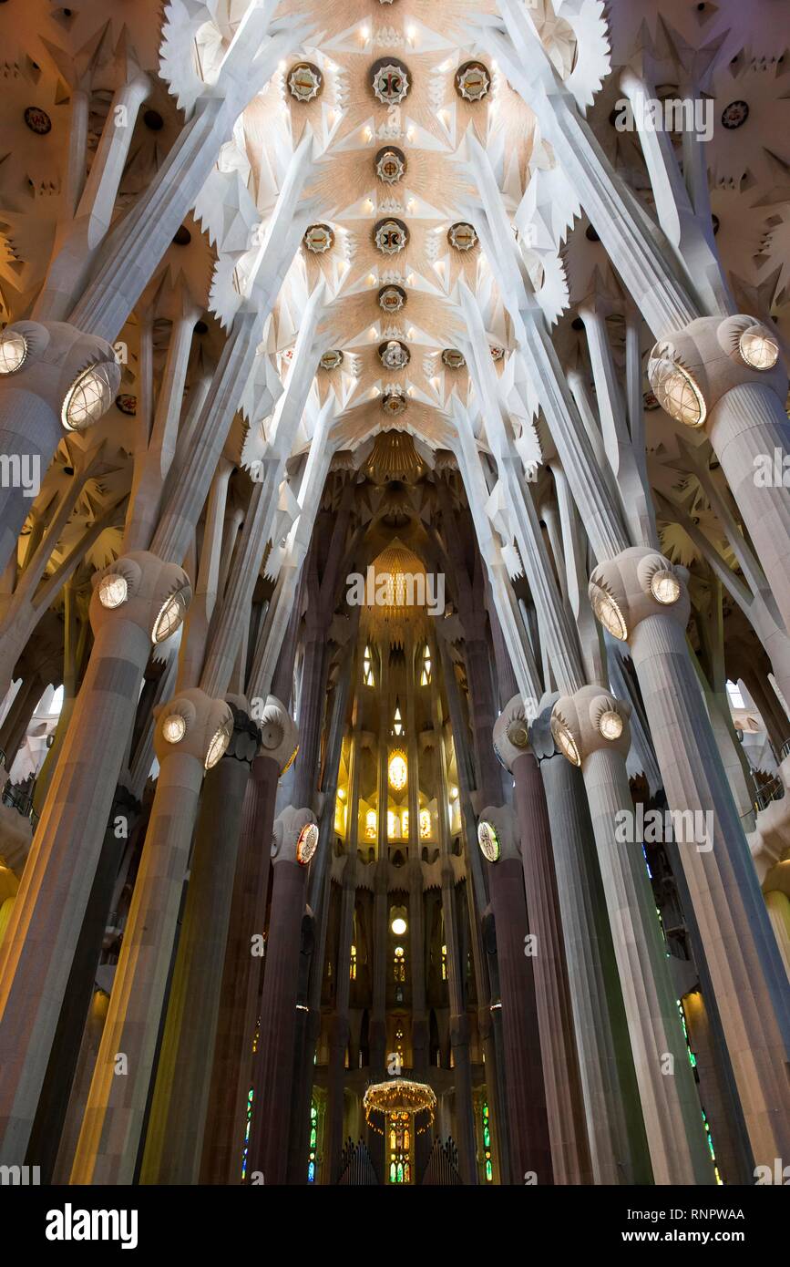 Vaulted ceiling, interior of the church Sagrada Familia, architect Antoni Gaudí, Barcelona, Catalonia, Spain Stock Photo