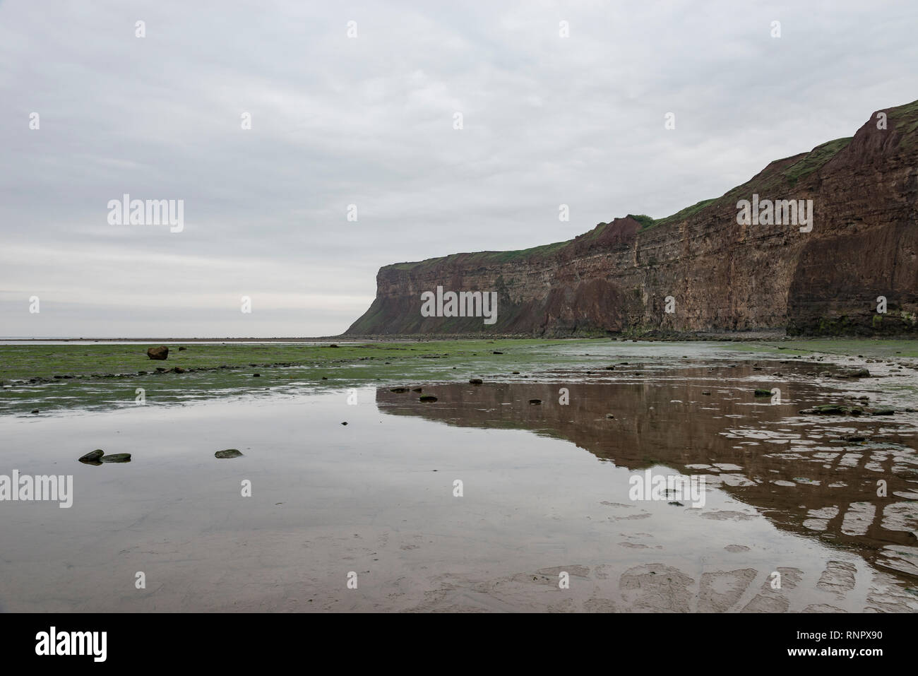 Sheer cliffs at Huntcliff, Saltburn-by-the-sea, North Yorkshire, England. Stock Photo